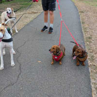 Photo of Harry / Sally