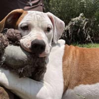 Photo of Maizie