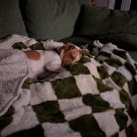 Photo of Chip Douglas