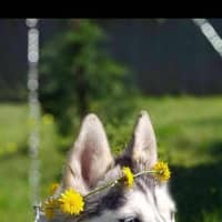 Photo of Ghost & Mirri