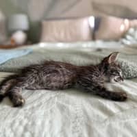 Photo of Bili