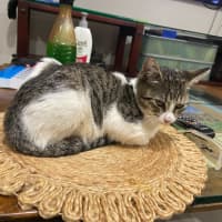 Photo of Ginny (Weasley) Of Harry Potter Fame