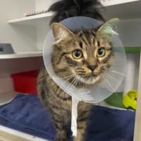 Photo of Luna