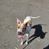 Photo of Sheldon