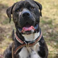 Photo of 🥛 Eggnog 5520 🥛