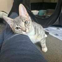 Photo of Gyp