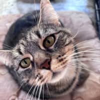 Photo of Hazel