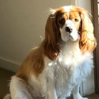 Photo of Ruby Uffelman