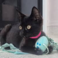 Photo of Mary (9202)