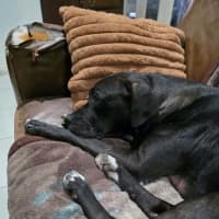 Photo of Maeve