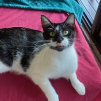 Photo of Georgie Girl