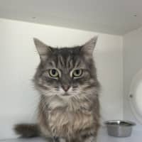 Photo of Winifred