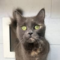 Photo of Agnes