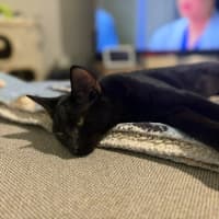 Photo of Berry