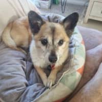 Photo of Leo O’cleary