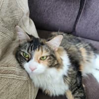 Photo of Lexi