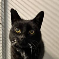 Photo of Mya