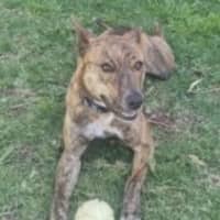 Photo of Artemis