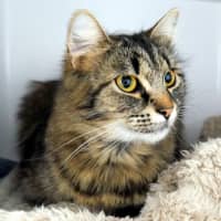 Photo of Tiggy Sua015607