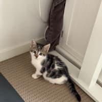 Photo of Yuki