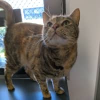 Photo of Eloise