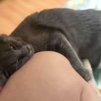 Photo of Peppercorn