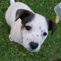 Photo of Wilma