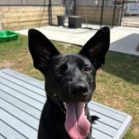 Photo of Leela
