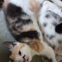 Photo of Sophie