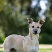 Photo of Winnie