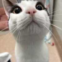 Photo of Latrell