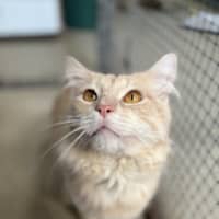 Photo of Buddy