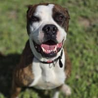 Photo of Tank