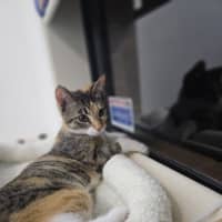 Photo of Sophie
