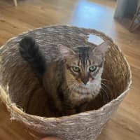 Photo of Mushroom (Mushy)