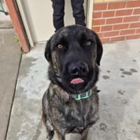 Photo of Whisky 🥃