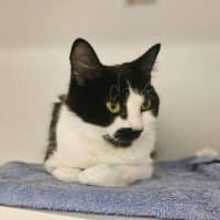 Photo of Chilled Out Cherry