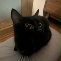Photo of Ms Milo