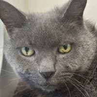Photo of Marge