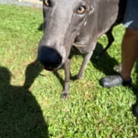 Photo of Wally