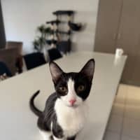 Photo of Olive