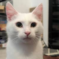 Photo of Twix