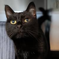 Photo of Maisey Now Macey