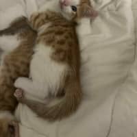 Photo of Elodie & Etienne