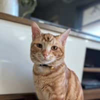 Photo of Popeye