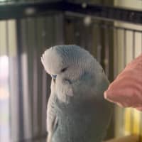 Photo of Storm