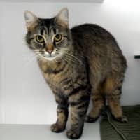 Photo of Tiggy Sua015607