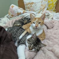 Photo of Sunny