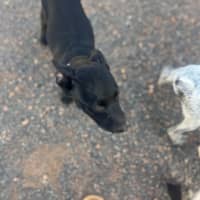 Photo of Felice (Astrid)