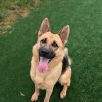 Photo of Gabrielle Imp 2805